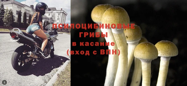 кокаин Богданович